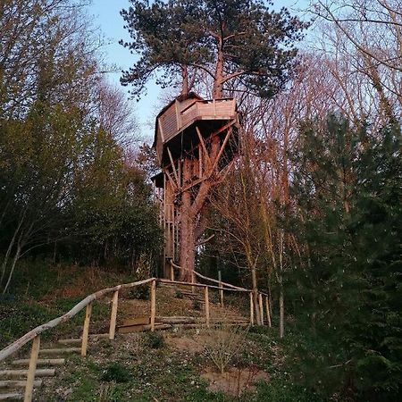 إتريتا Sherwood Tree المظهر الخارجي الصورة