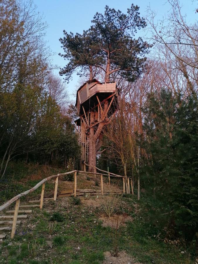 إتريتا Sherwood Tree المظهر الخارجي الصورة